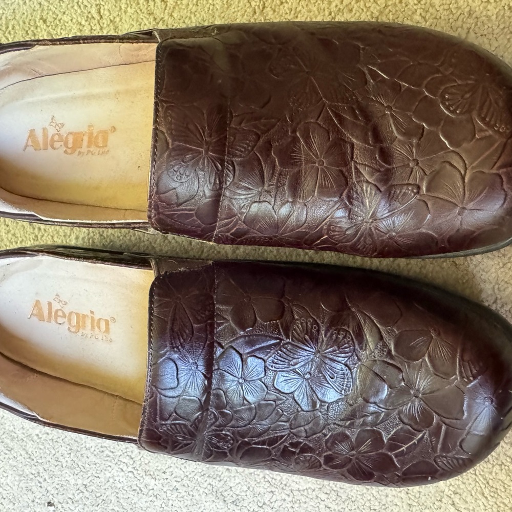 Alegria Brown Leather Slip Resistant Shoes